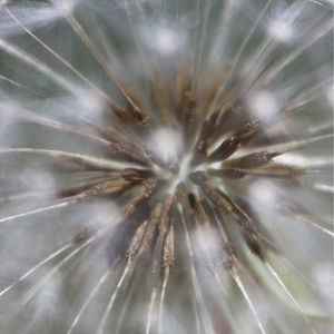 Meet your Posher, Elle